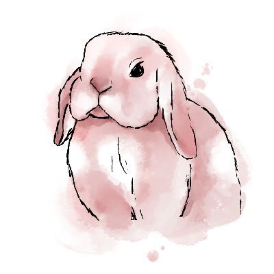 Pink Hoppy Lop & Floppy