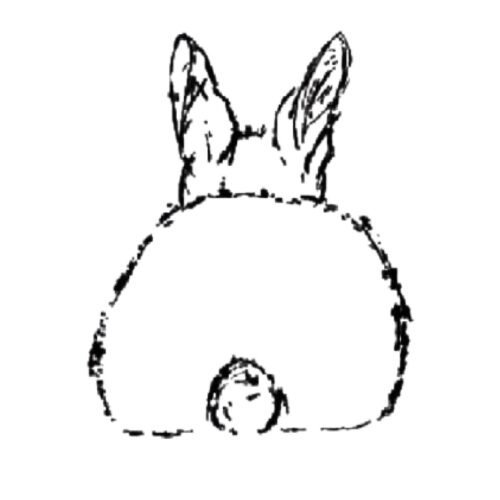 Outlined Little Cottontail