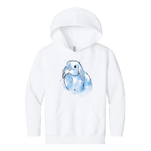 Youth Hooded Sweatshirt Pastel Collection